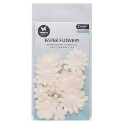 Paper Flowers Studio Light...