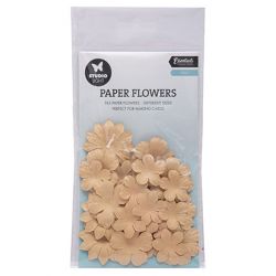 Paper Flowers Studio Light...