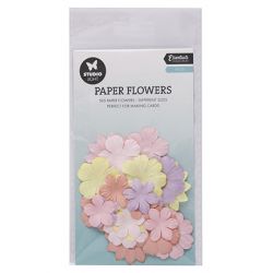 Paper Flowers Studio Light...