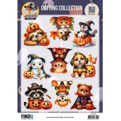 Find-It Cutting Collection...