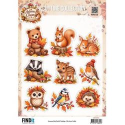 Find-It Cutting Collection...