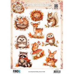 Find-It Cutting Collection...