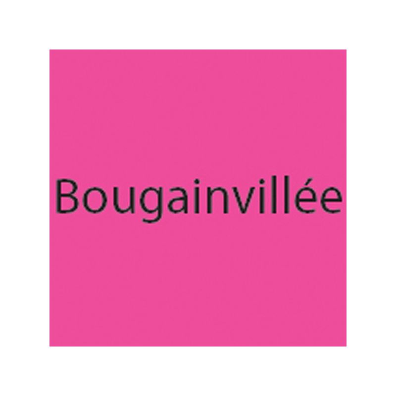 Page Verticale Bougainvillée