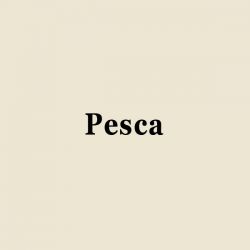 Page Simple Pesca