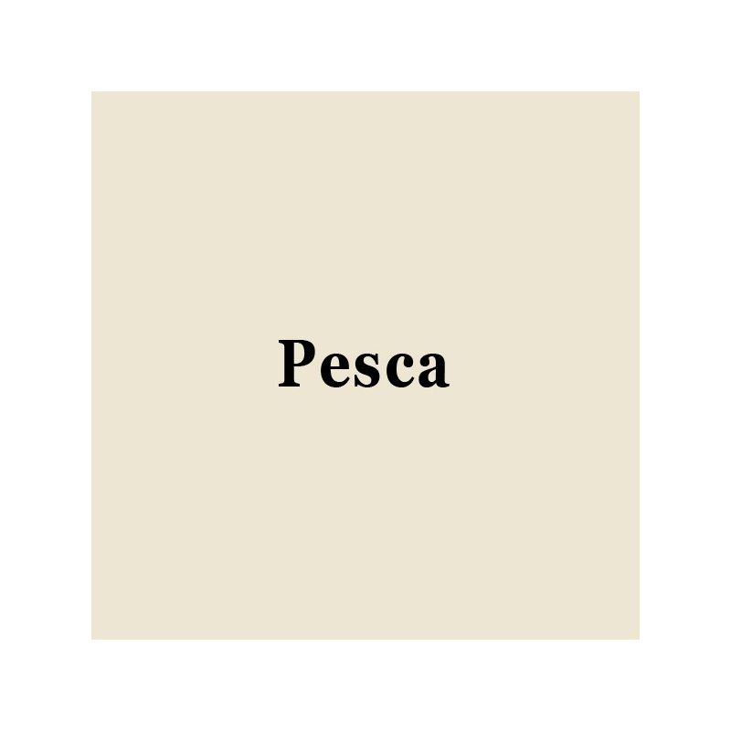 Page Simple Pesca