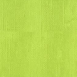 Papier Florence Lime 30,5 x 30,5 cm