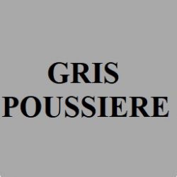 Page Simple Gris Poussière