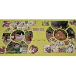 Kit Papiers Stamperia Forest