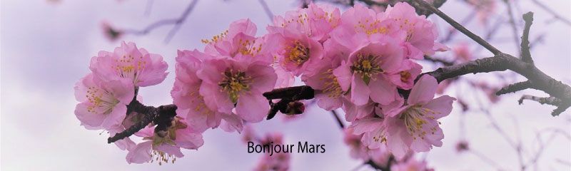 Nouveautés 